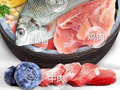 拉布拉多喝羊奶需要注意的温度问题（合适的温度保障拉布拉多健康成长）