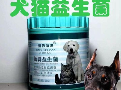 如何给你的杜宾犬清洁牙齿（掌握关键技巧，让宠物拥有健康牙齿）