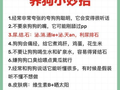 狗狗的日常饮水量及注意事项（了解狗狗饮水需求，让它们健康快乐生活）