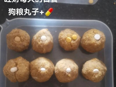狗拉稀的饮食指南（解决狗狗拉稀的方法和食物推荐）