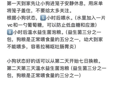 如何养护三个月大的小狗（三个月大的小狗喂养方法和注意事项）