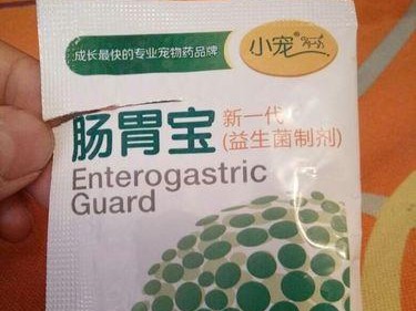 以喂奶期泰迪吃什么好？（为你的泰迪提供健康的饮食选择）