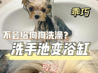 狗狗洗澡的正确选择（狗狗洗澡应该用什么？如何选择合适的洗浴用品？）