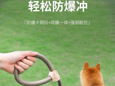 养狗小百科——狗主人需注意的事项（如何做好狗主人？关注这些重要细节）
