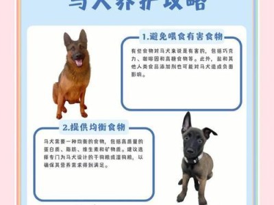 以马犬与昆明犬（比较两种犬的凶恶程度及其特点）