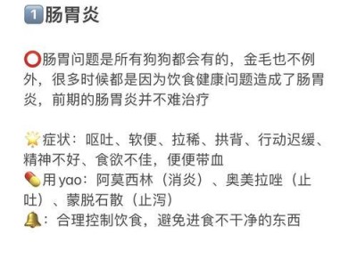 解决金毛体臭的有效方法（让你的金毛远离难闻的气味）
