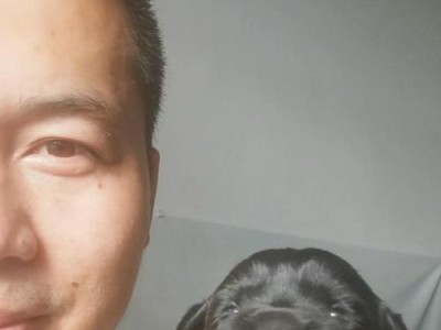 狗的眼睛为何会变蓝色（探究狗狗眼睛变蓝的原因及影响因素）