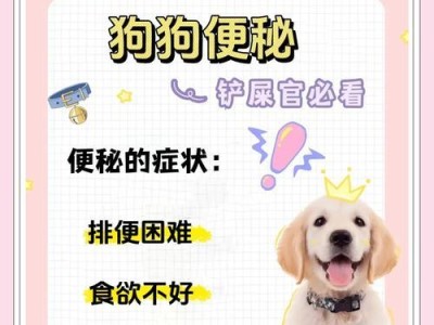 狗狗便秘的常见症状及处理方法（了解狗狗便秘症状，避免健康问题加重）
