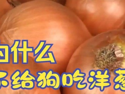 狗身上不能吃的东西（了解狗狗食品安全，守护它的健康）
