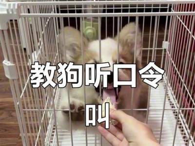 让狗狗学会执行站立的命令的绝妙方法（以简单一招让你的狗狗轻松学会站立）