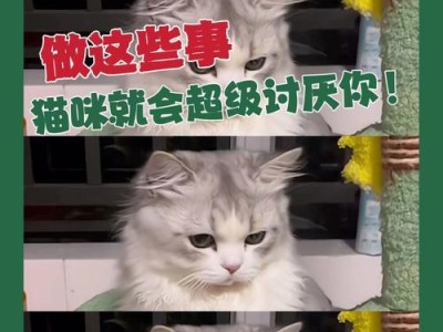 猫咪心杂音问题探究（宠物的健康需关注，猫咪心杂音应及早发现）