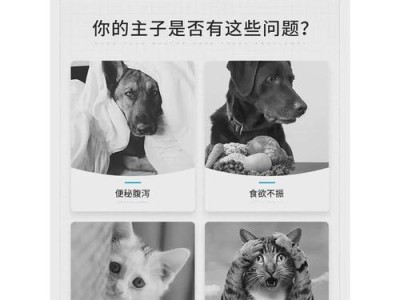 泰迪拉稀的主要药物及喂养方法（以泰迪拉稀应该喂什么药？如何正确喂养？）