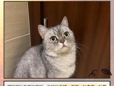 猫咪吐毛球的频率及防治方法（探究猫咪吐毛球的周期和减少毛球问题的方法）