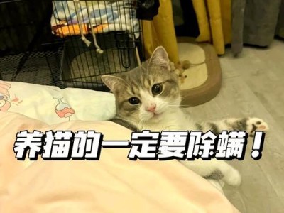 猫咪身上长螨虫怎么处理？（使用最有效的方法消除猫身上的螨虫）