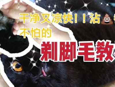 猫咪毛发黄变异常？该如何处理（解析猫咪毛发变黄的原因及养护技巧，让你的爱宠更加健康美丽）