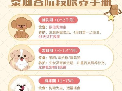 泰迪狗性成熟需要多长时间？（探究泰迪狗成熟的关键阶段和时长）