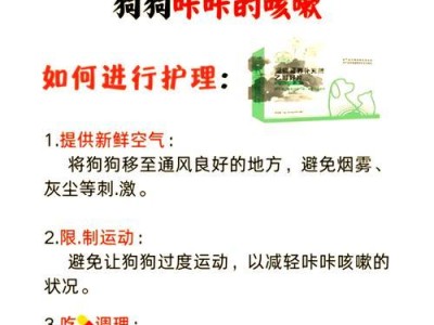 快速有效治疗狗狗咳嗽的方法（狗狗咳嗽怎么办？常见原因及应对措施）