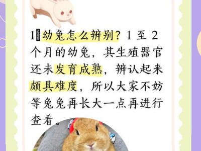 兔子的繁殖周期与怀孕时间（探究兔子的生殖特性及其对人类的意义）