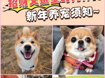 以狗上门（狗类的亲近与警示）