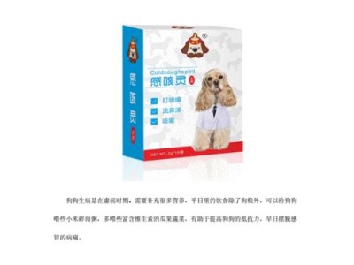 如何处理狗狗不吃不拉的问题（狗狗不吃不拉的原因及解决方法）