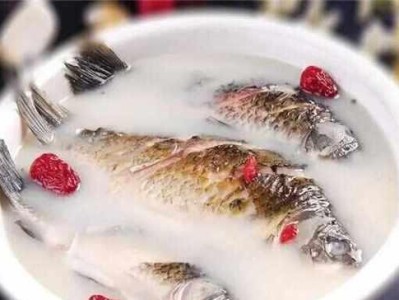 哺乳母猫的营养需求（了解哺乳母猫的下奶食物及其养分需求）