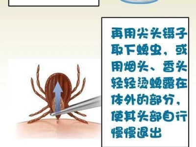 有效杀死蜱虫的方法（选择合适的杀虫剂是关键）