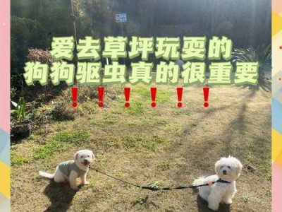 狗吃完驱虫药后需要多久才能吐出？（狗吃完驱虫药后的吐出时间，）