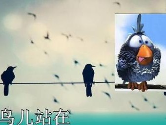 探寻小鸟不吃东西的原因（解析小鸟饮食习性与生物适应能力）