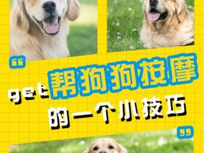 狗狗延缓衰老的奇妙力量（探索狗狗对人类健康的益处，带给你更长寿的秘密）
