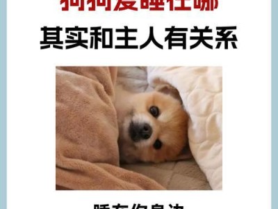 小狗为何喜欢躺在地上？（探索小狗躺在地上的原因及其对健康的益处）