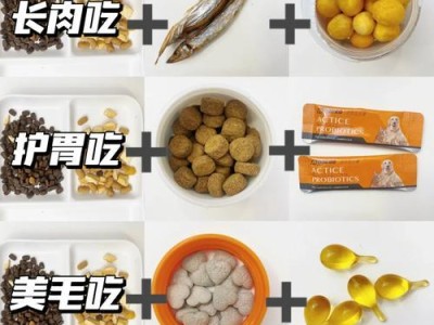 如何正确喂养幼犬（新手铲屎官学起来吧！）