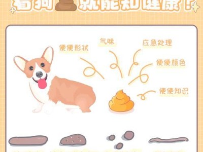 狗狗绝育手术后排便时间及注意事项（详解狗狗绝育手术后排便的时间、频率和排便困难的解决方法）