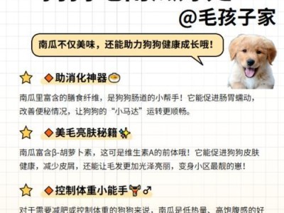 如何为狗狗提供营养均衡的饮食？（科学饲养，让你的狗狗更健康）