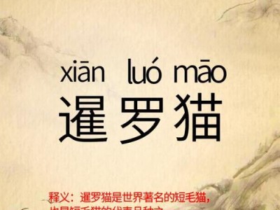暹罗猫为何不能动尾巴的原因（暹罗猫尾巴的特殊构造和功能）