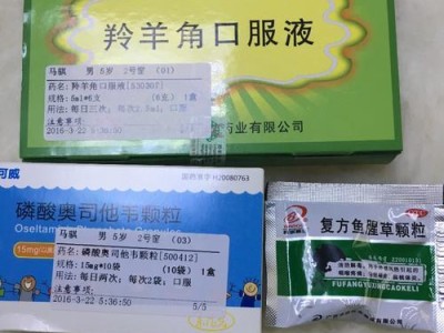 狗子发烧怎么办？（为您详解如何喂药给狗子。）