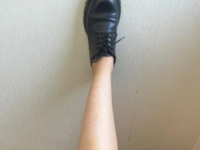 猫咪腿部溃烂的原因及治疗方法（探究猫咪腿部溃烂的病因和预防措施）