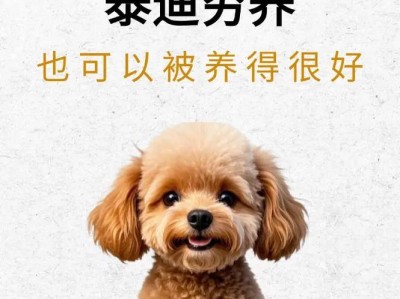 养狗狗需要的支出大揭秘！（了解养狗狗所需经济投入，让你成为负责任的狗主人）