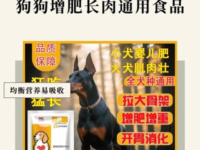 让狗狗学会执行站立的命令的简单方法（避免狗狗长期站立的不良影响）