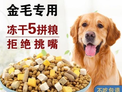 小金毛2个月喂什么狗粮？（了解适合小金毛2个月的营养需求）