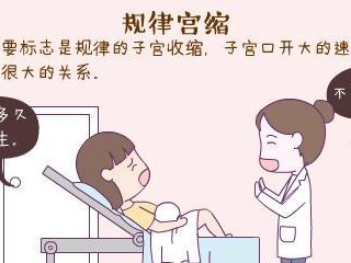 母猫宫缩（了解母猫宫缩的特征与意义）