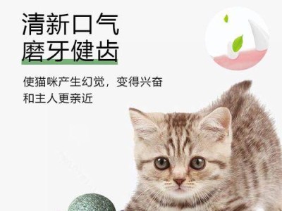 小猫咪的新宠（让宠物生活更有趣、更健康）