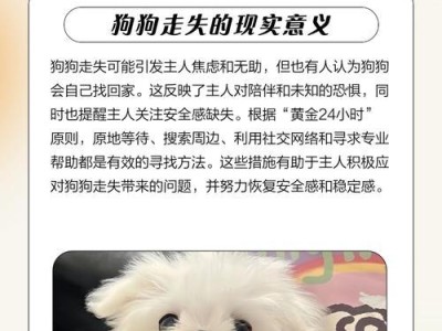 狗狗训练黄金时期（手把手教你，发挥狗狗训练黄金时期的优势）