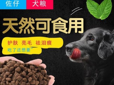 如何正确喂养比熊犬（合理控制每餐狗粮的数量，保持比熊健康）