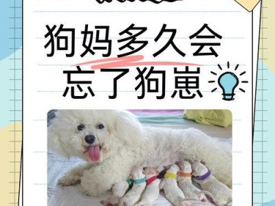 狗与人类的病毒传播（揭秘狗类疾病传播给人类的危害与预防方法）