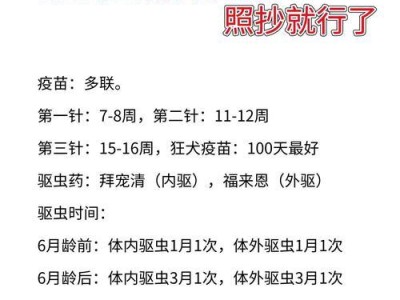 小狗打完疫苗后合适的洗澡时间（了解小狗打完疫苗后洗澡的最佳时机）