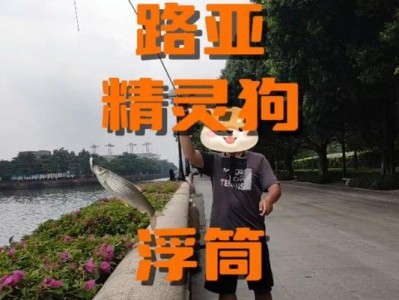 探秘红眼是什么狗（揭开红眼狗独特之谜，了解这一稀有品种的魅力所在）