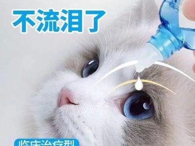如何为猫咪正确使用眼药水（猫咪眼睛健康保护攻略）