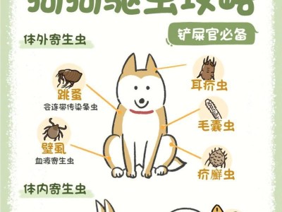 狗狗驱虫频率揭秘（了解狗狗驱虫的最佳时间与方法）