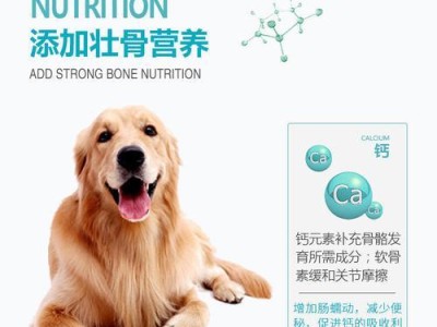 拉布拉多犬的理想狗粮选择（为你的拉布拉多提供最佳营养）