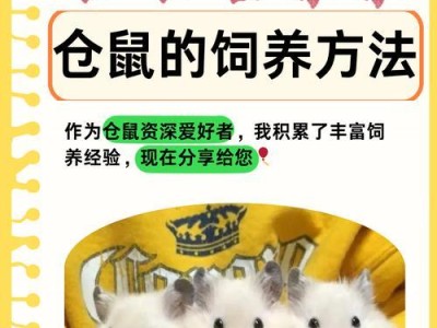 仓鼠生了孩子该吃什么？（仓鼠幼崽的合理饮食和营养需求解析）